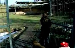 Parco Eolico di Montecatini Val di Cecina su RAI2