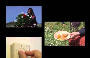 02/05/2011: CoSviG Lavoriamo per un futuro sostenibile