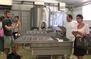 11/09/2012: DispenserTV. Il gusto delle energie rinnovabili