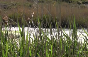 Il progetto pilota “Geo4P”