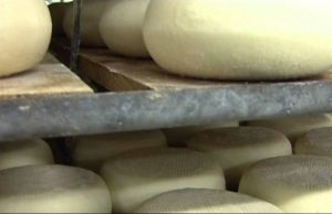 RTV38. Vapori di Birra…Geotermica