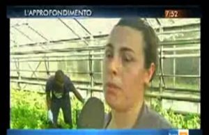 RAI3, Buongiorno Regione. Alla scoperta dell’agricoltura geotermica