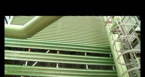 CoSviG: Le Terre dal Cuore Caldo