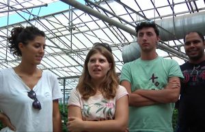 Dispenser TV. Il gusto di conoscere la Geotermia