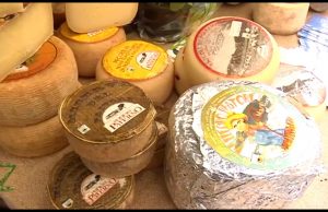 Zonattiva. CoSviG e le Aree Geotermiche Toscane (Amiata)