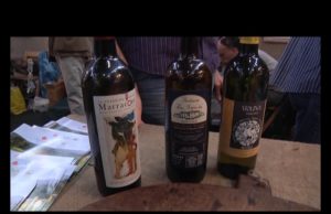 DispenserTV. La Grande Bellezza dei Piccoli Comuni