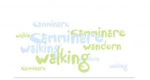 Turismo a Radicondoli: dal 05 all’11 Ottobre 2015 (AGGIORNATO)