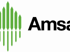 Amsa, lavoro per spalatori di neve