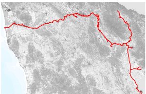 Ciclabili, in arrivo altri 10 milioni. Ciclovia dell’Arno finanziata per il 90%