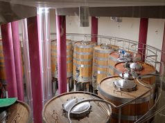 Salcheto, dove il vino è tutto “carbon free”