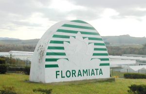 Amiata. Casucci (LN): “Floramiata: salvaguardare i lavoratori avventizi. Nostra mozione sul tema.”