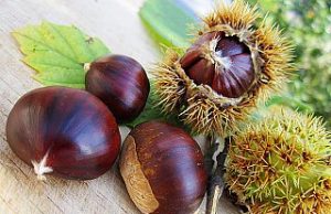 Al via AmiatAutunno, fra cibo e tradizione