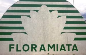 Amiata: Enel e Floramiata insieme per lo sviluppo della filiera agricola geotermica
