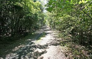 Un patto triennale per gestire le riserve naturali