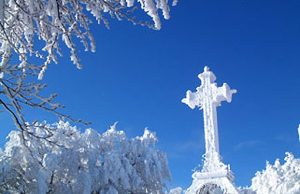 Pd: “Un futuro alla geotermia amiatina ”