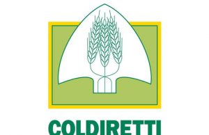 Agricoltura, Clima, Toscana: Contro il clima che cambia la Toscana del vino e dell’olio si affida alla qualità