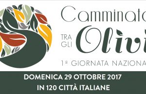 Domenica 29 Ottobre arriva in Toscana la “Camminata tra gli olivi”