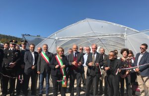Geotermia, Sviluppo, Opportunità: Inaugurato il primo impianto pilota geotermico per la coltivazione di Alga Spirulina.
