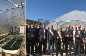 Inaugurato il primo impianto pilota geotermico per la coltivazione di Alga Spirulina