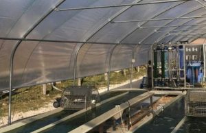 Chiusdino. Inaugurato l’impianto pilota di alga spirulina