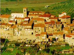 Teleriscaldamento: Per Borghi l’asso nella manica in chiave elezioni