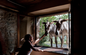 Monticello Amiata: presentazione del rifugio naturalistico Le Pianore e dibattito sul Parco nazionale Monte Amiata