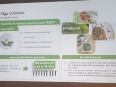 Coltivare geotermia e spirulina insieme, una scommessa toscana da cento posti di lavoro