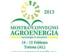 Geotermia e cogenerazione