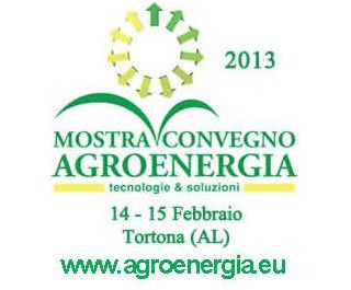 Geotermia e cogenerazione