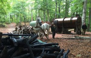 Il carbone? Si produrrà sull’Amiata