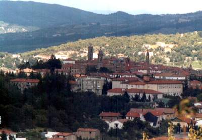 «La geotermia è sana e redditizia»