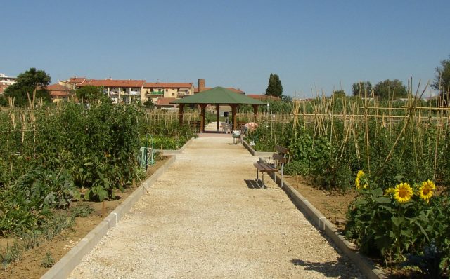Agricoltura, 100 mila orti in Toscana: il 15 ottobre firma protocollo e conferenza stampa