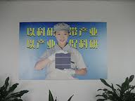 L'Ue sottopone a registrazione l'importazione dei moduli fotovoltaici cinesi