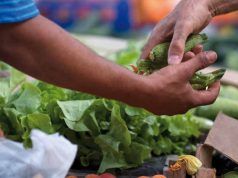 Pomarance: Negli ex mattatoi nasce il mercato di filiera corta
