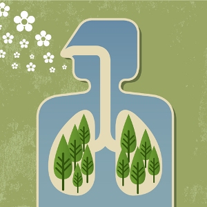 I dati Arpat sulla qualità dell’aria ad Arcidosso e l’avvio della quarta fase quarta fase del progetto ”Geotermia e salute”