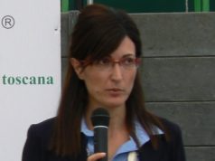 Geotermia, Bramerini: “Il Paer prevede lo sviluppo dell’alta entalpia nelle aree tradizionali”