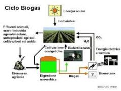 “Il biogas fa bene”: il convegno di Confagricoltura