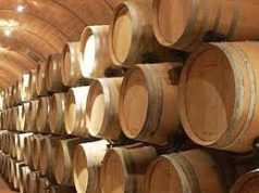 GREEN ECONOMY APPLICATA ALLE CANTINE VITIVINICOLE ITALIANE: POSSIBILE ARRIVARE A – 30% SUI CONSUMI ENERGETICI