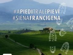 Via Francigena nelle Terre di Siena: il nuovo canale web tematico e il primo challenge fotografico per smartphone “A piedi tra le pievi”