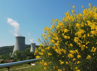 Arriva dalla geotermia il 73,2% dell’elettricità rinnovabile toscana, e crescerà ancora