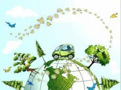 Il biometano punta a invadere le case La svolta nel 2020?