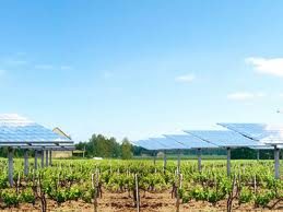 Decreto liberalizzazioni: Stop al fotovoltaico a terra in aree agricole