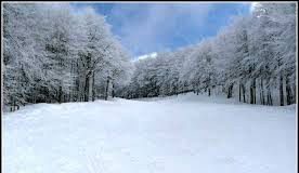 Sistema neve per rilanciare il settore