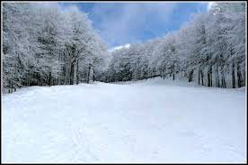 Sistema neve per rilanciare il settore