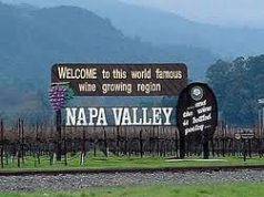 Il sindaco Ulivieri di ritorno dal viaggio in Usa sulla geotermia Vigneti, castelli e vino buono. A Napa Valley un pezzo di Amiata. «Dobbiamo capire il nostro potenziale e sfruttarlo meglio»