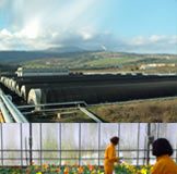 Floramiata, Regione chiederà a curatore Cig in deroga e certezze sui tempi