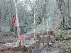 Un chip nel collare e l’app rintraccia il lupo nel Parco faunistico