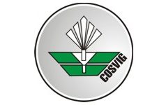 Facciamo il punto sulle attività formative di COSVIG.
