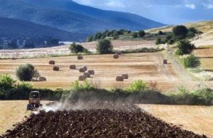 Toscana. Riconoscimento Distretto agroalimentare Toscana sud, soddisfazione dei consiglieri regionali PD