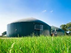 Da rifiuto a risorsa: biogas da sfalci d’erba